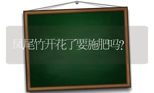 凤尾竹开花了要施肥吗？ | 植物问答