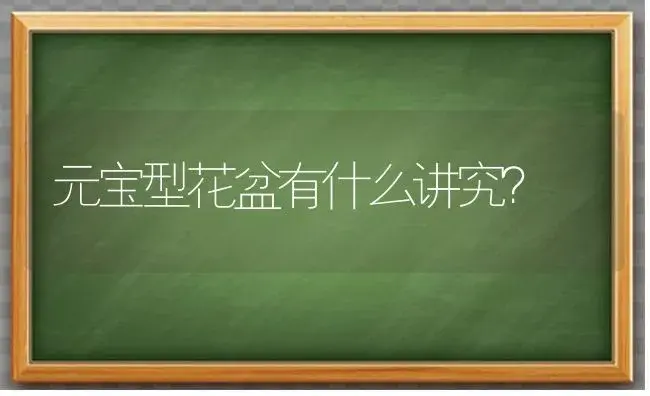 元宝型花盆有什么讲究？ | 植物问答