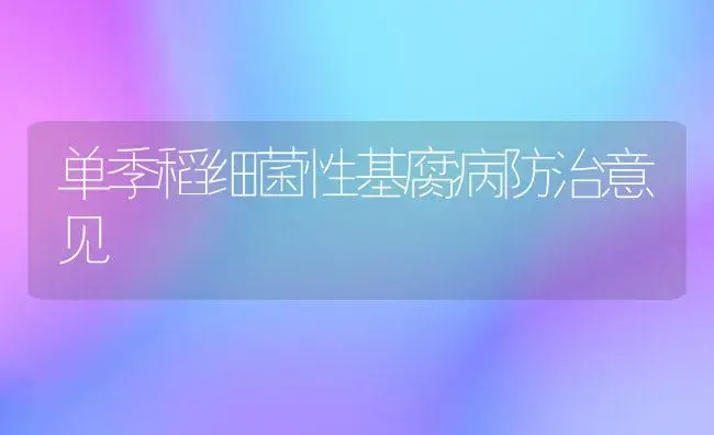 初冬麦田管理技术要点 | 植物科普