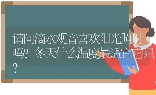 请问滴水观音喜欢阳光照射吗?冬天什么温度最适宜它呢？ | 植物问答