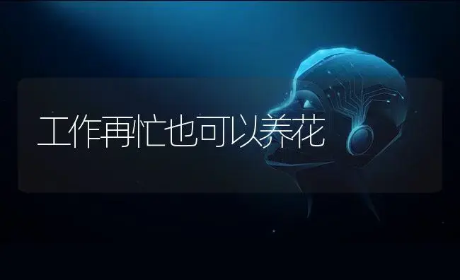 工作再忙也可以养花 | 植物科普