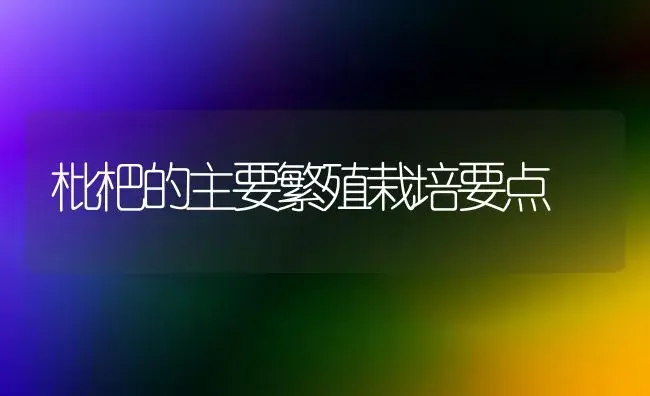 枇杷的主要繁殖栽培要点 | 植物百科