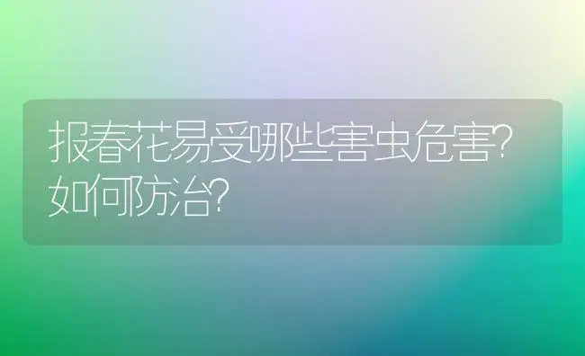 报春花易受哪些害虫危害？如何防治？ | 植物知识