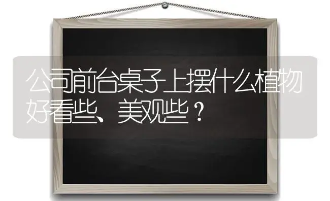 公司前台桌子上摆什么植物好看些、美观些？ | 植物问答