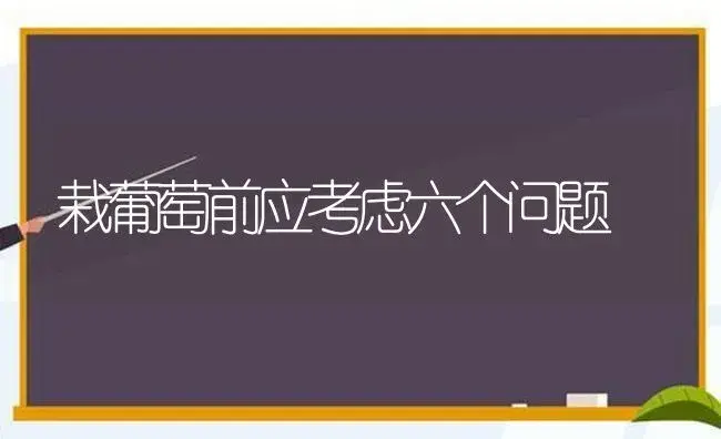 食用百合的高产栽培技术 | 植物科普