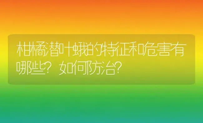 柑橘潜叶蛾的特征和危害有哪些？如何防治？ | 植物百科