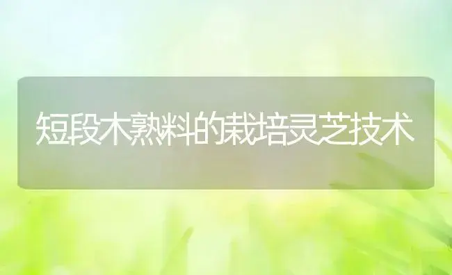 短段木熟料的栽培灵芝技术 | 植物资料