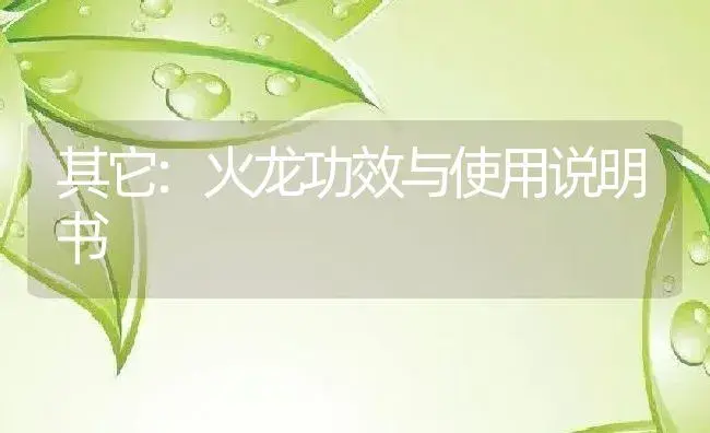 其它：火龙 | 适用防治对象及农作物使用方法说明书 | 植物资料