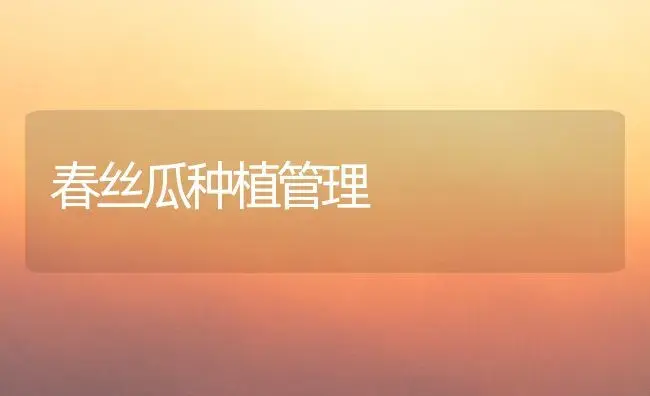 南抗杨 | 植物科普
