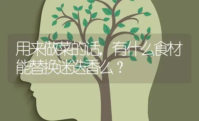 用来做菜的话，有什么食材能替换迷迭香么？ | 植物问答