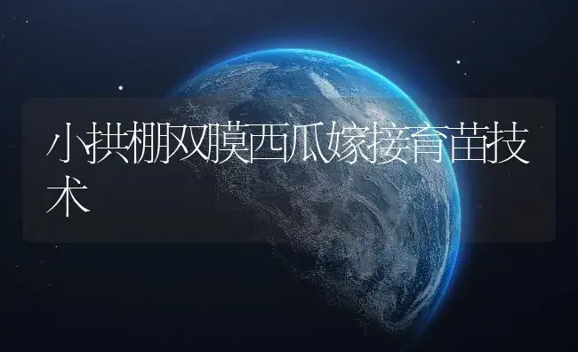 小拱棚双膜西瓜嫁接育苗技术 | 植物百科