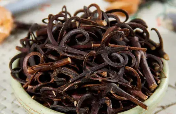 钩藤茶的功效与作用是什么