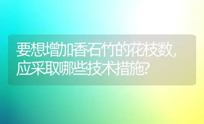 要想增加香石竹的花枝数，应采取哪些技术措施? | 植物科普