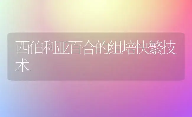 西伯利亚百合的组培快繁技术 | 植物知识