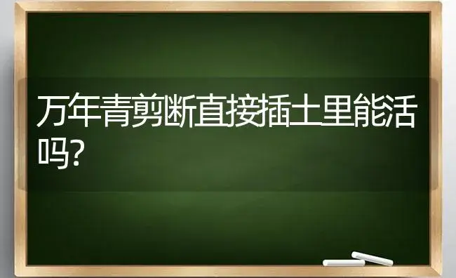 万年青剪断直接插土里能活吗？ | 植物问答