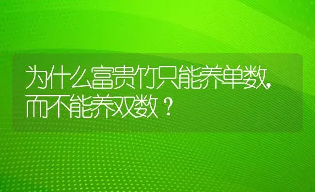 为什么富贵竹只能养单数，而不能养双数？ | 植物问答