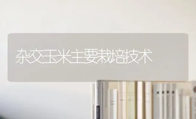 杂交玉米主要栽培技术 | 植物科普
