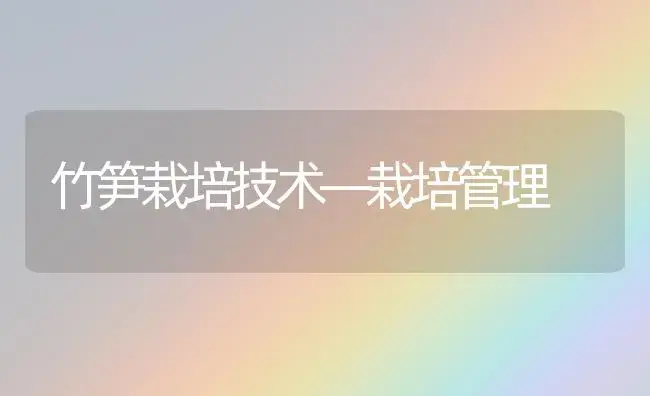 竹笋栽培技术―栽培管理 | 植物科普