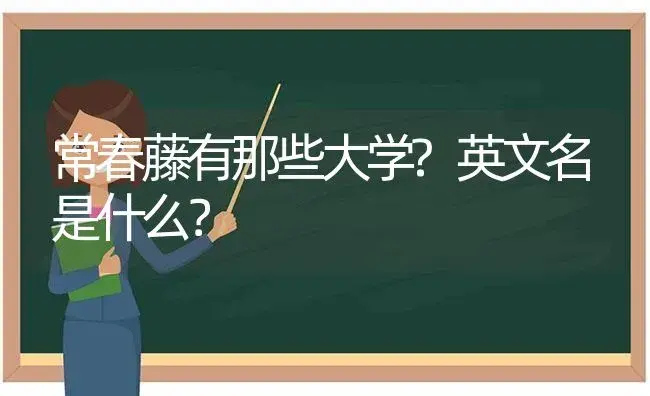 常春藤有那些大学?英文名是什么？ | 植物问答