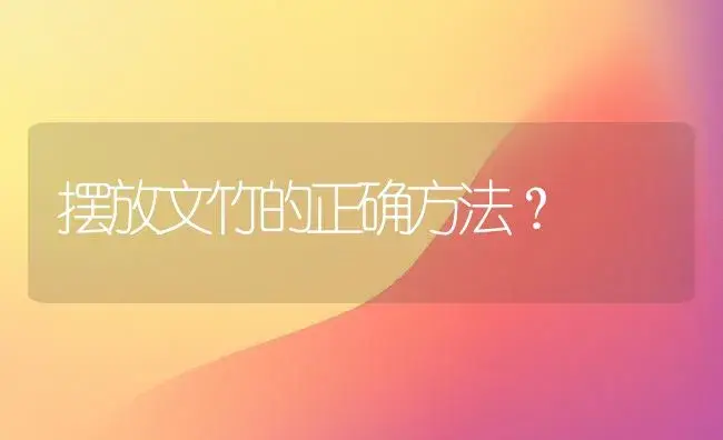 摆放文竹的正确方法？ | 植物问答