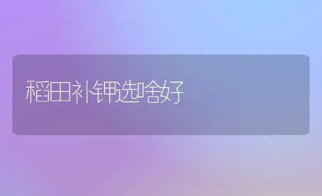 香口蘑高产栽培技术 | 植物科普