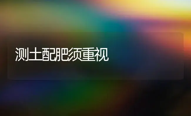 如何保持红叶石楠的观赏价值 | 植物科普