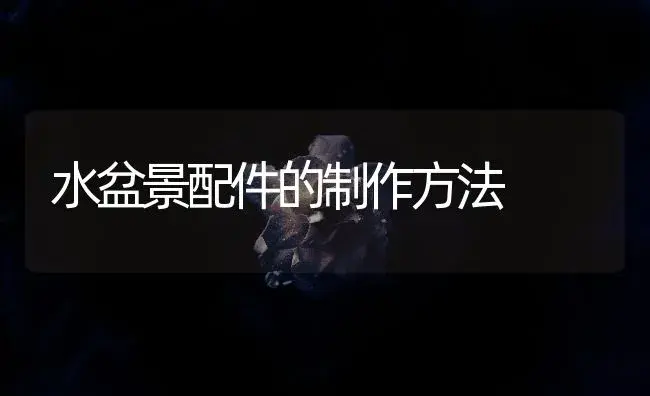 水盆景配件的制作方法 | 植物知识