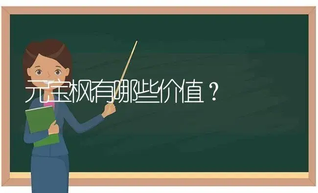 元宝枫有哪些价值？ | 植物问答