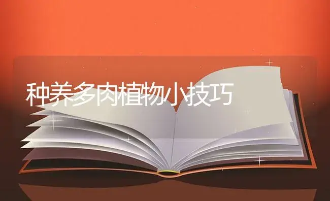 樟巢螟综合防治技术 | 植物知识