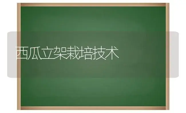 西瓜立架栽培技术 | 植物科普