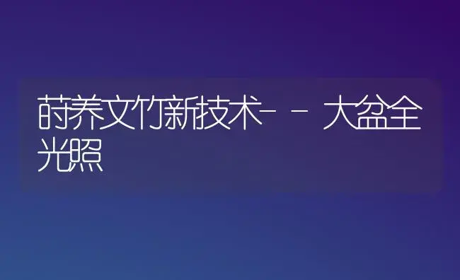 莳养文竹新技术--大盆全光照 | 植物知识