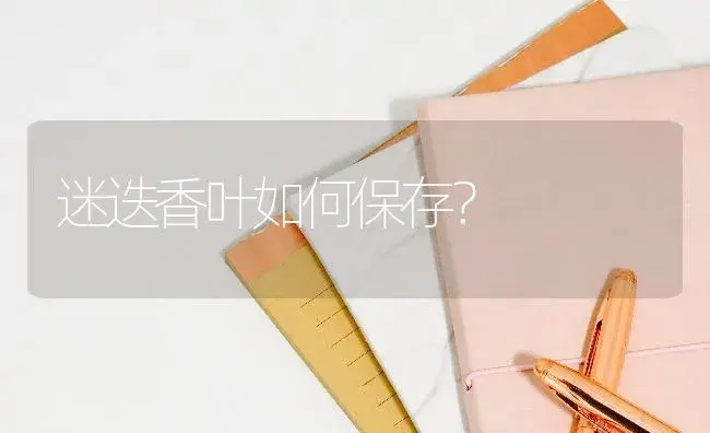 迷迭香叶如何保存？ | 植物问答