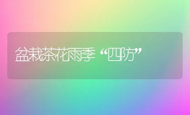 盆栽茶花雨季“四防” | 植物科普