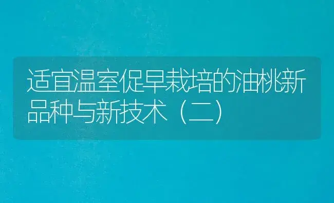 适宜温室促早栽培的油桃新品种与新技术（二） | 植物科普