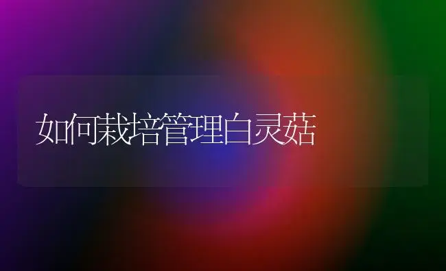 黑木耳的栽培特性 | 植物科普