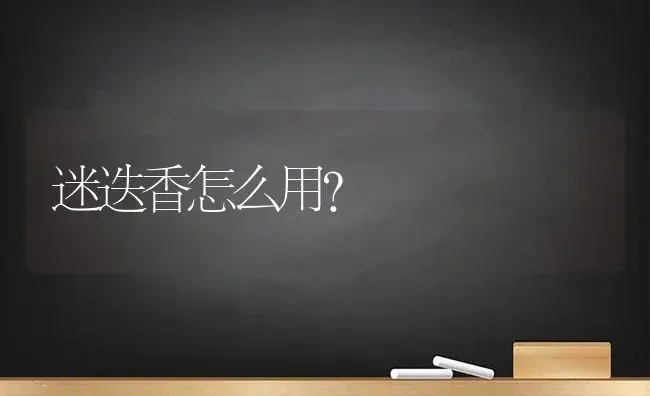 迷迭香怎么用？ | 植物问答