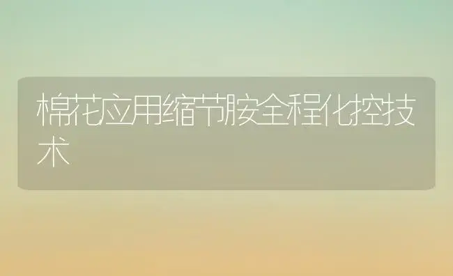 棉花应用缩节胺全程化控技术 | 植物科普