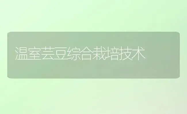 温室芸豆综合栽培技术 | 植物百科
