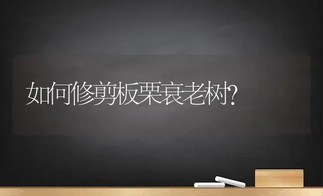 如何修剪板栗衰老树？ | 植物科普