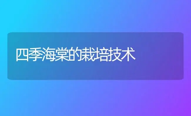 四季海棠的栽培技术 | 植物知识
