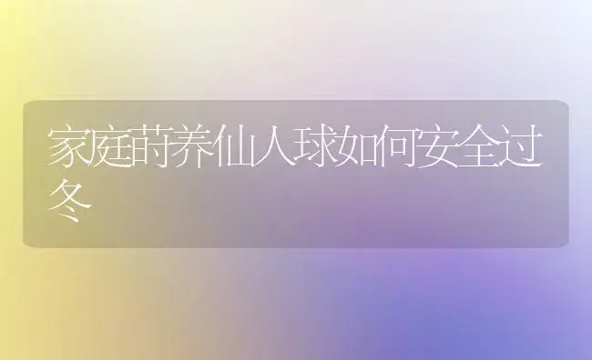 家庭莳养仙人球如何安全过冬 | 植物科普