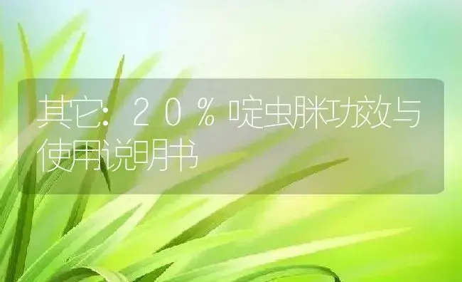 其它：20%啶虫脒 | 适用防治对象及农作物使用方法说明书 | 植物资料