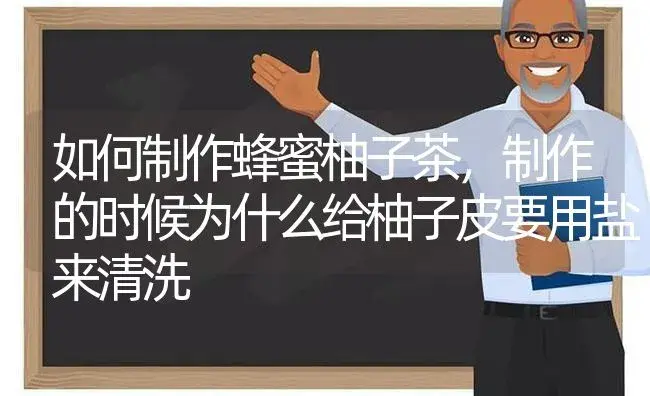 如何制作蜂蜜柚子茶，制作的时候为什么给柚子皮要用盐来清洗 | 植物知识