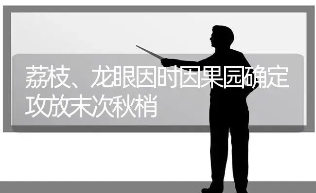 荔枝、龙眼因时因果园确定攻放末次秋梢 | 植物科普