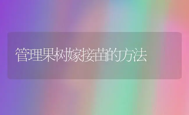 管理果树嫁接苗的方法 | 植物百科