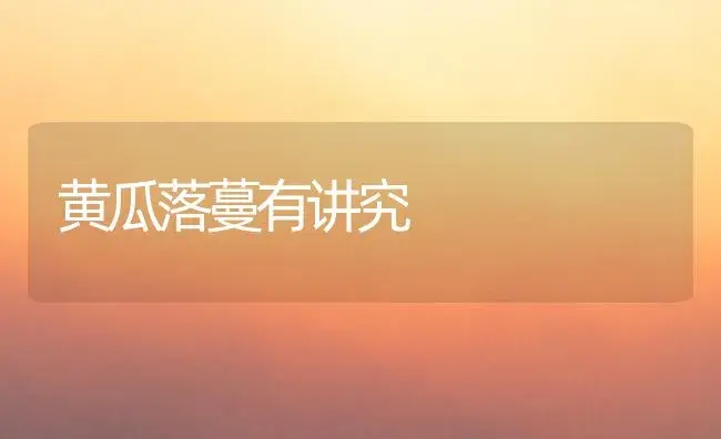 黄瓜落蔓有讲究 | 植物科普