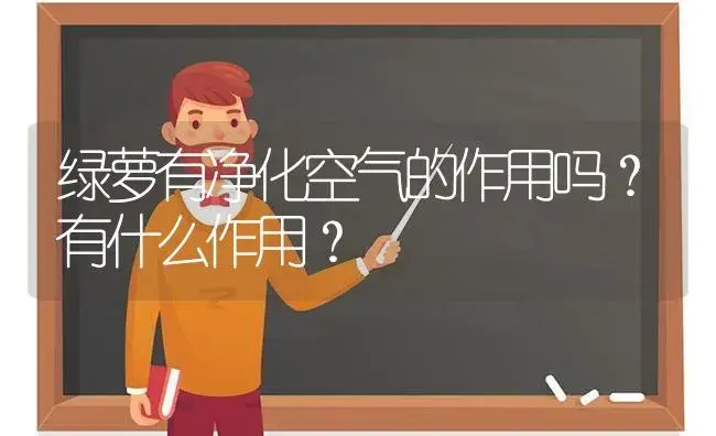 绿萝有净化空气的作用吗？有什么作用？ | 植物问答