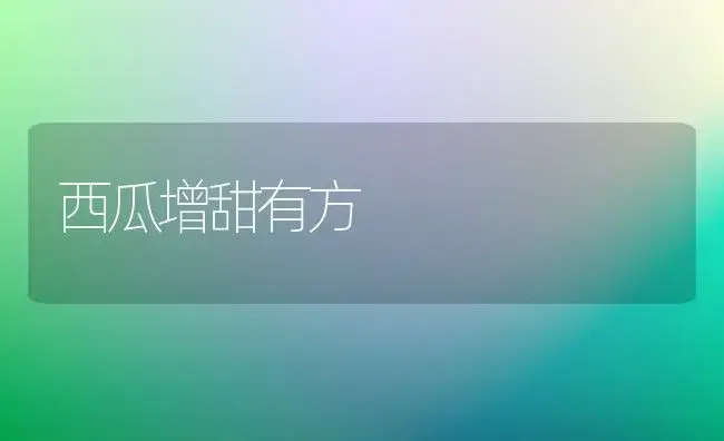 西瓜增甜有方 | 植物科普