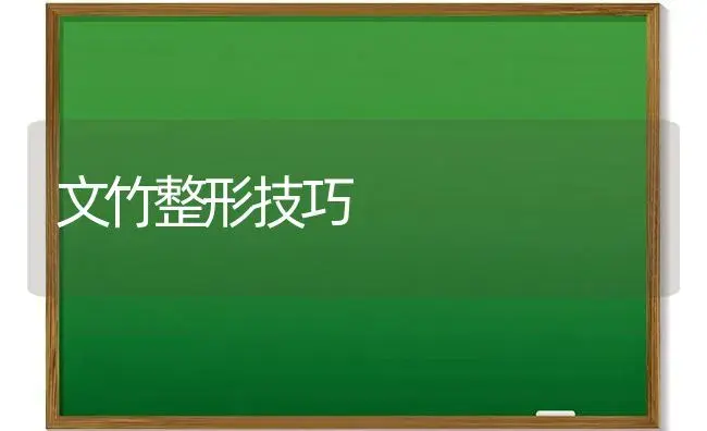 文竹整形技巧 | 植物科普
