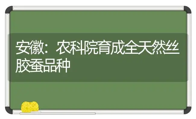 安徽：农科院育成全天然丝胶蚕品种 | 植物知识